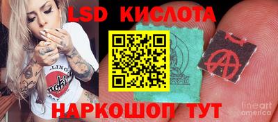 мдпв Донской