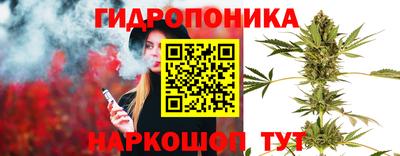 мдпв Донской